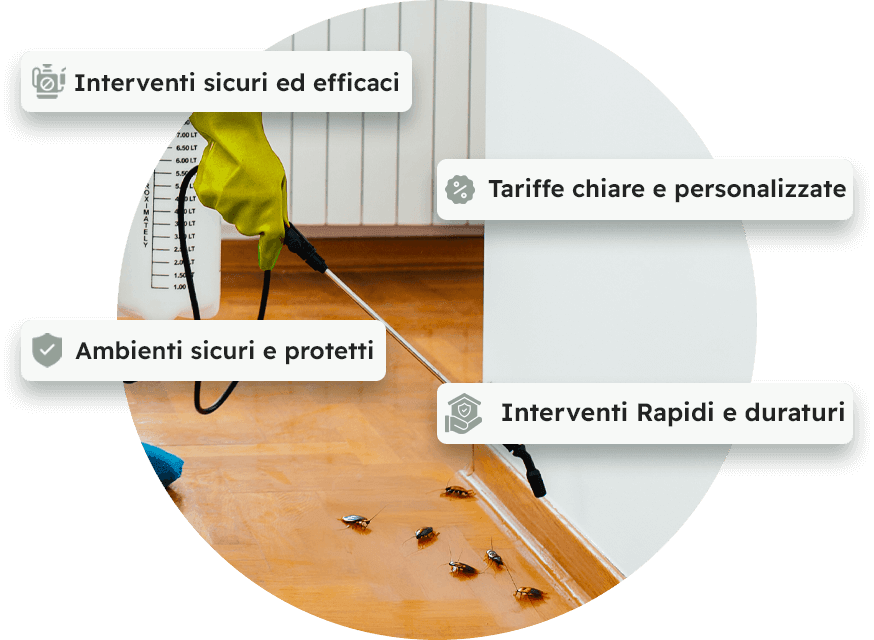disinfestazione blatte